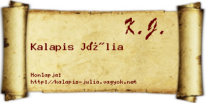 Kalapis Júlia névjegykártya